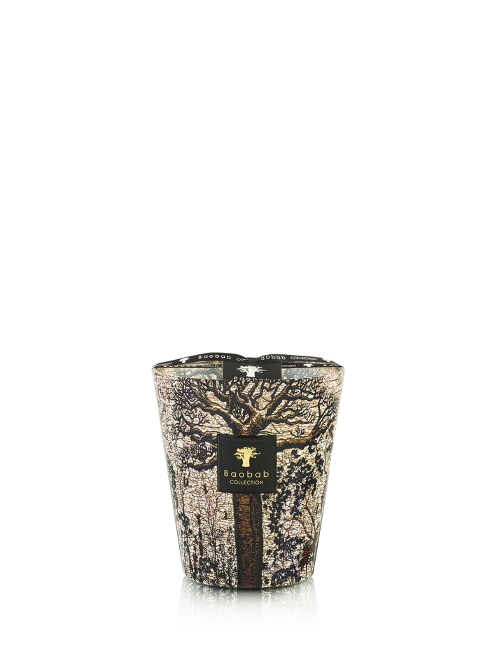 Candles Baobab Sacred Trees Limited Edition Candle Max 16 Max 16 Apoella