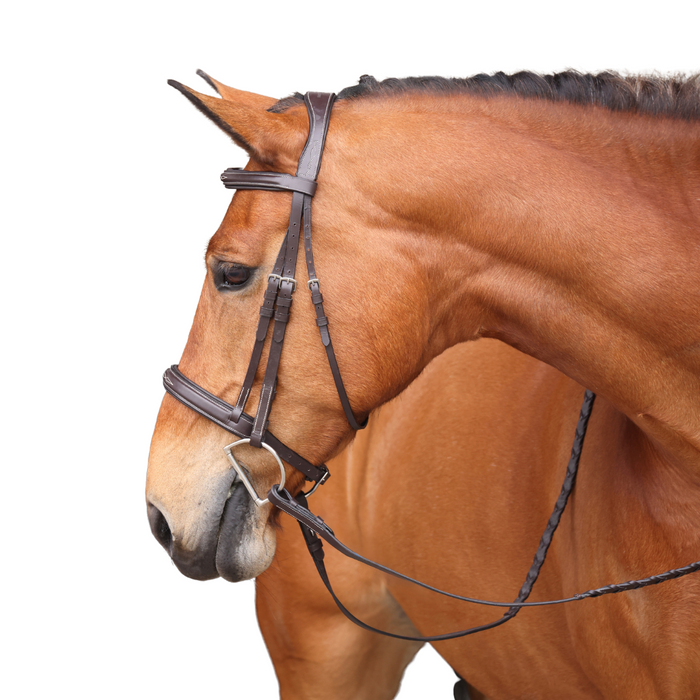 Shires Avignon Wellington English Bridle, Havana