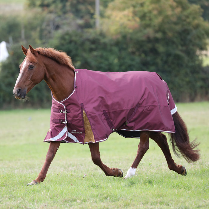 Shires Highlander Plus 100g Turnout Blanket