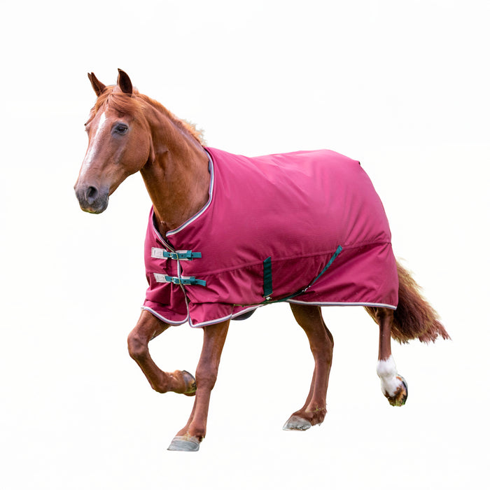 Shires Tempest 200g Turnout Blanket