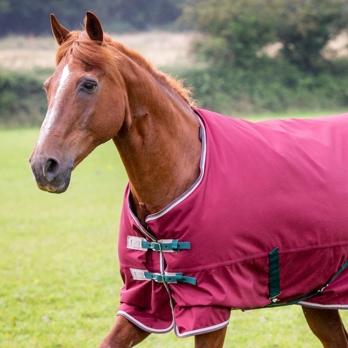 Shires Tempest 200g Turnout Blanket
