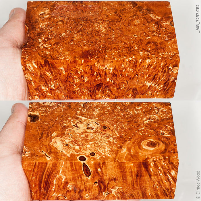 Stabilized wood box elder burl block