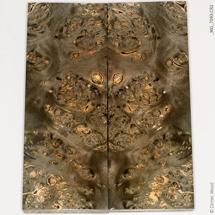 Stabilized wood box elder burl panels