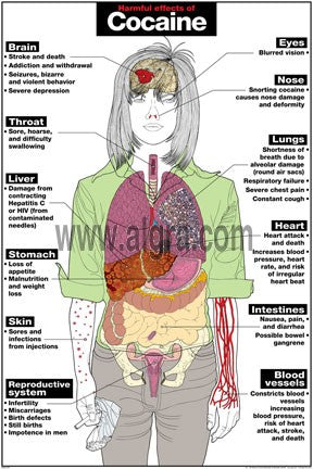 Harmful Effects of Cocaine Poster