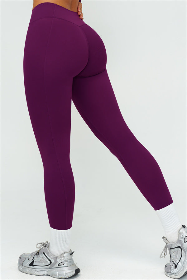 The Lushness Long Sleeve Crop top Leggings 2-Piece Set