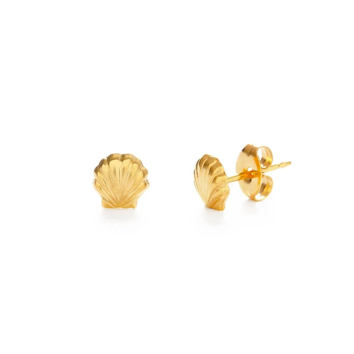 Gold shell-shaped earrings on a white background