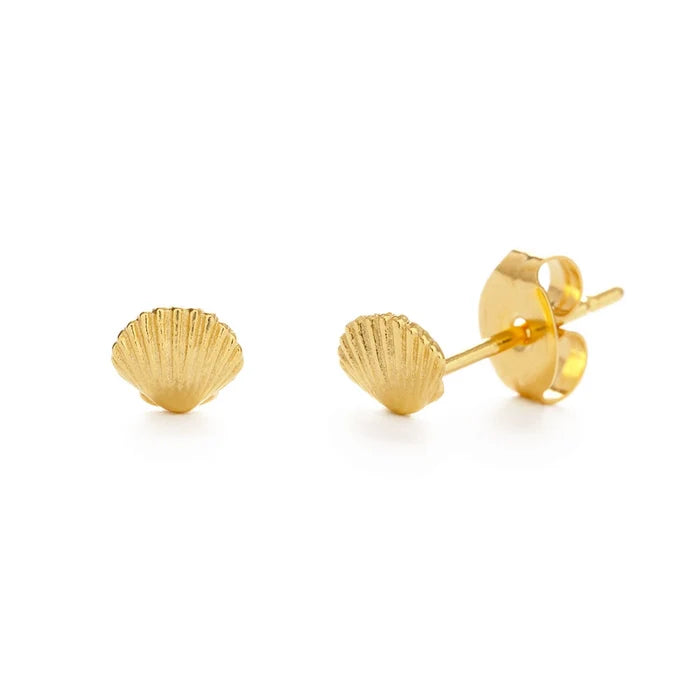 Close-up of seashell studs