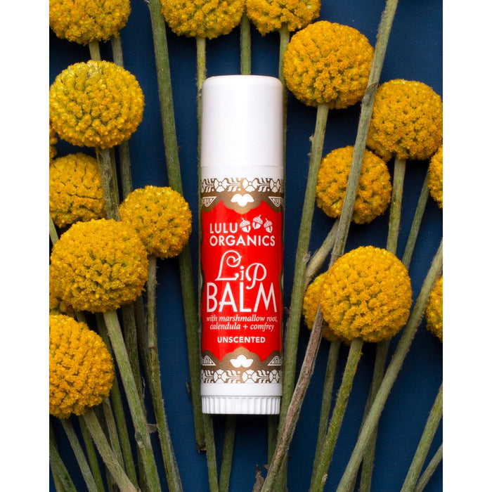 Lulu Organics Unscented Big Lip Balm tube with red illustrated label surrounded by yellow craspedia ball flowers on a dark blue background