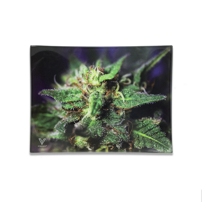glass rolling tray blue dream small v syndicate