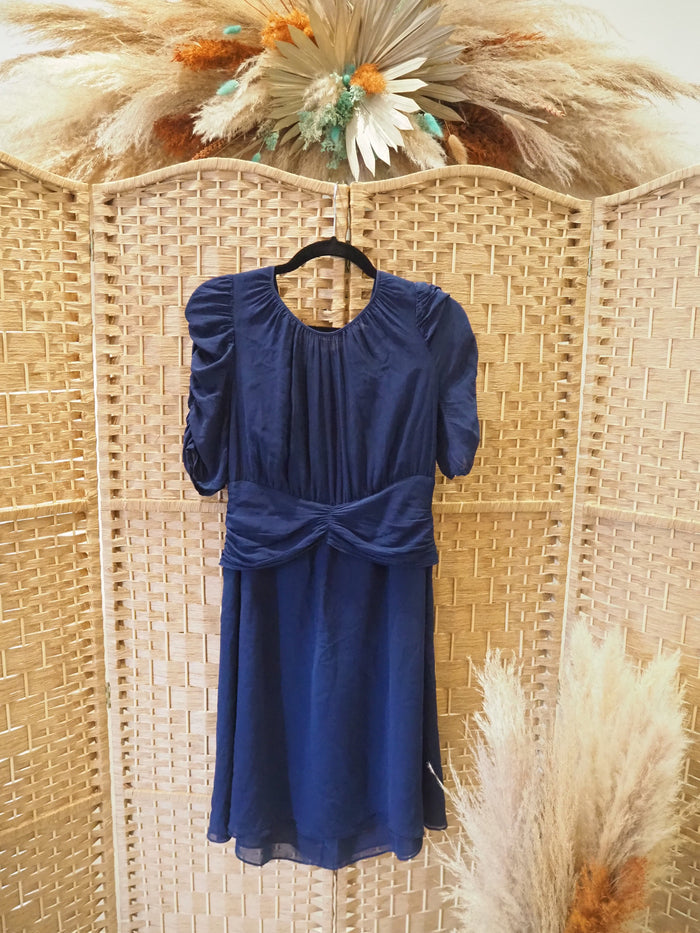 Whistles Blue Chiffon Dress Size 10